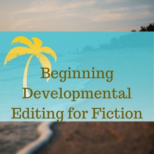 beginning developmental editing for fiction.