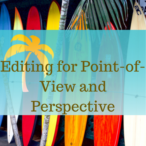 Editing for Point-of-View and Perspective