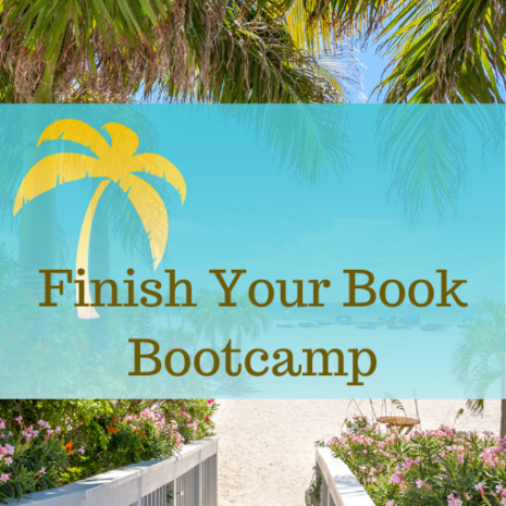 Finish Your Book Bootcamp