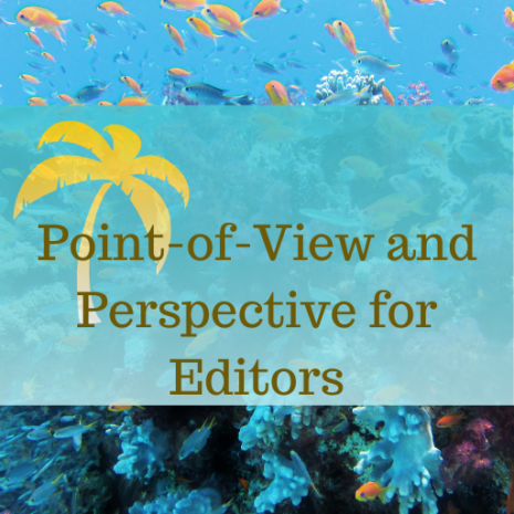 point of view and perspective for editors class